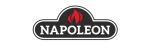 Napoleon Regency Fireplace Repair in Vancouver