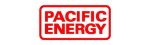 Pacific Energy Regency Fireplace Repair in Vancouver